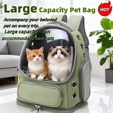 Pet travel safety gear and accessories